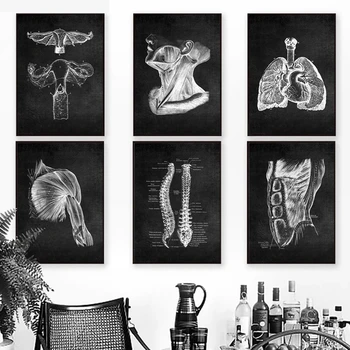 Kokkuvõte Inimese Anatoomia Kunsti, Meditsiini-Seina Maali Kunst Pildi Lihas-Skelett Haridus Plakat Lõuendile Maalimine Home Decor