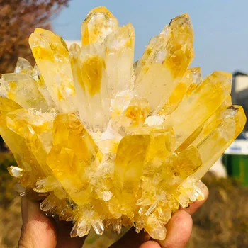 Harv uus kollane phantom quartz crystal klastri näidis