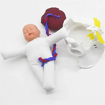 Mini Inimeste Naine Sünnituse Vaagna Tutvustamine -Loode Nabanööri Platsenta Anatoomia Õpetamise Mudel