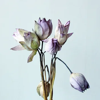 1tk Päris Loomulik, Kuivatatud Pressitud Lotus Flower Dekoratiivsed Käsitöö Filiaal Home Decor elutuba DIY Taimede Paigutus