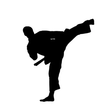 12x14CM Kung Fu Taekwondo Kleebis Auto Decal Akna Dekoratsioon Karate Auto Kleebised Ja Kleebised