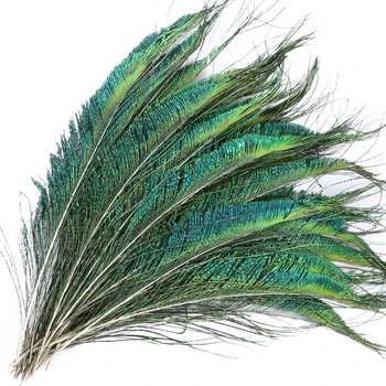 10tk Loomulik Peacock Feather Silmad Jade green 25-30cm Kodu kaunistamiseks DIY Käsitöö Tarvikud Puhkus Pulm Teenetemärgid