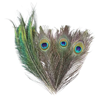 10tk Loomulik Peacock Feather Silmad Jade green 25-30cm Kodu kaunistamiseks DIY Käsitöö Tarvikud Puhkus Pulm Teenetemärgid