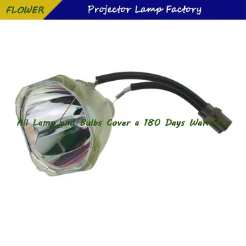 ET-LAB30 Projektor Paljaste Lamp Panasonic PT-LB30/PT-LB30E/PT-LB30NT/PT-LB30NTE/PT-LB30NTU/PT-LB30U/PT-LB55/PT-LB55E/PT-LB55NT