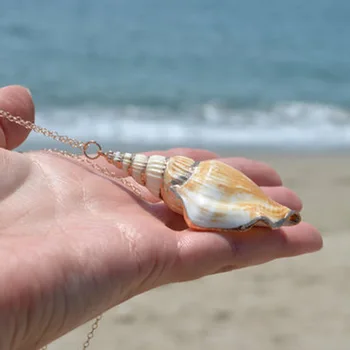 Kuld Kett Seashell Pikk Kaelakee Jaoks Wome Bohemian Looduslikud Mere Conch Shell Ripats Kaelakee Suvel Rannas Ehted krae mujer