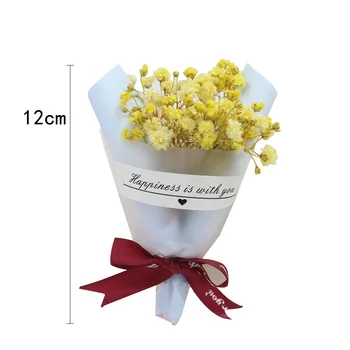 1TK Mini Pakendi Taevas, Tähed, Lilled Ilu Gypsophila Kimp Kuivatatud Lilled Pulm Kodu Kaunistamiseks Kingitus Pakend DIY Kingitus