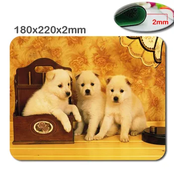 Loomad, Kass, Koer Koer Kuldne Retriiver Kutsikas Mousepad,Custom Ristkülikukujuline Mouse Pad 220*180*2mm - office tarviku ja