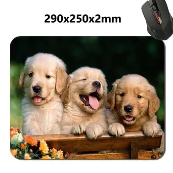 Loomad, Kass, Koer Koer Kuldne Retriiver Kutsikas Mousepad,Custom Ristkülikukujuline Mouse Pad 220*180*2mm - office tarviku ja