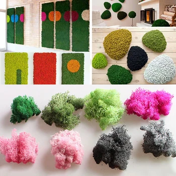 Kunstlik taim igavene elu moss / Aed kodu kaunistamiseks seina DIY Lill materjali Mini Aed Mikro -, Maastiku-Tarvikud