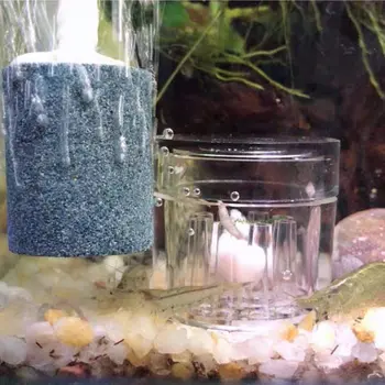Akvaariumi Planaria Lõksu Crystal Vähkidele Uss Lõksu Läbipaistev 8-Hole Kaanid Proteinworm Kahjurite Püüdja Kala Tank Cleaner Tool