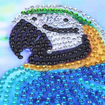 HUACAN Erilise Kujuga Teemant Maali Papagoi 5D DIY Diamond Tikandid ristpistes Rhinestone Mosaiik Crystal Kingitus Decor