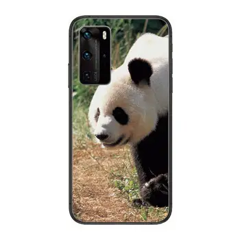 Loominguline Karu Panda Loomade Telefoni Puhul Huawei P 40 30 20 10 9 8 Lite E Pro Plus Must Etui Coque Maali Hoesjes koomiline fas