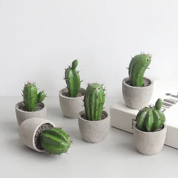 Simulatsioon cactus kapseldatud taim armas võltsitud cactus kodu aia kaunistamiseks talumaja kontoris töölaua kaunistus