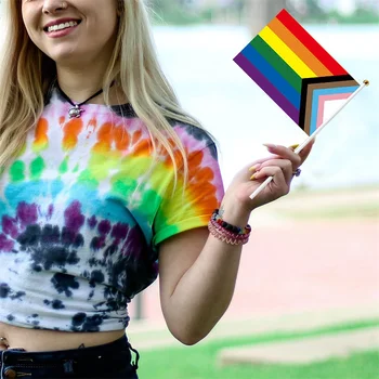 Pakk Gay Pride Lipud Lihtne Hoida Mini Väike Vikerkaare Lippe Flagpoles Jaoks Vikerkaar Pride Paraad Festival