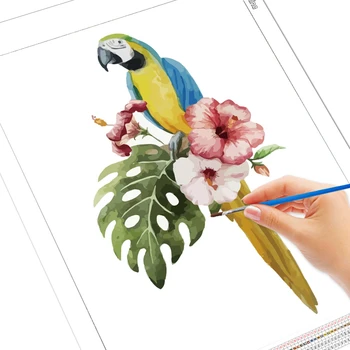 EverShine DIY Värvimine Poolt Numbrid Cartoon papagoi Käsitsi Maalitud Loomad Seina Art Joonis Lõuend Kodu Kaunistamiseks