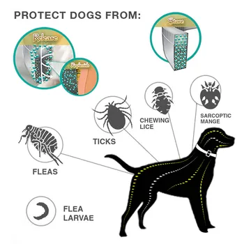 Eemaldab Flea And Tick Collar Koerad Kassid Kuni 8 Kuu Flea Rist Krae Anti-mosquito & putukatõrjeks Löönud Kassi Krae