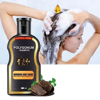 200ml Juuste Ravi Šampoon Hair care Šampoon Baar Ingver Juuksed Majanduskasvu Kaneel Anti-hair Loss Shampoo Polygonum multiflorum