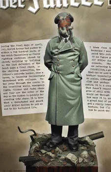 1:20 die-valatud vaiku mudel WWII vene ohvitser peab käsitsi maalitud vaik mudel rind tasuta shipping