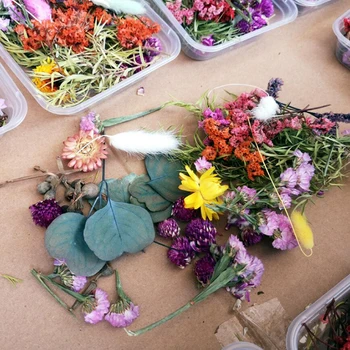 1 Karp Segatud Reaalne Kuivatatud Lilled Kuivad Taimed Pressitud Lilled Epoksüvaik Ripats Kaelakee Ehted Tegemine Käsitöö DIY Tarvikud