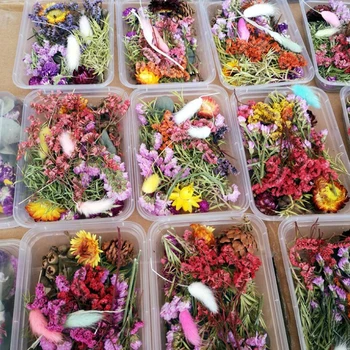 1 Karp Segatud Reaalne Kuivatatud Lilled Kuivad Taimed Pressitud Lilled Epoksüvaik Ripats Kaelakee Ehted Tegemine Käsitöö DIY Tarvikud