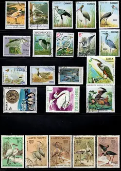 50tk/Palju Veelindude Linnud Tempel Teemat Kõikide Erinevate Paljudest Riikidest EI Korda Postmargid koos Postitus Mark Kogumiseks