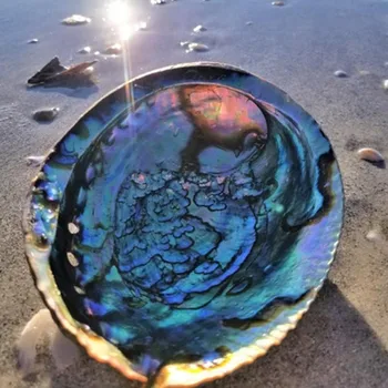1tk Loomulik Abalone Shell Suur-Mere Koored Meremiili Home Decor Seep Roog Diy Kala Tank Aquarium Maastiku Pulm Teenetemärgid