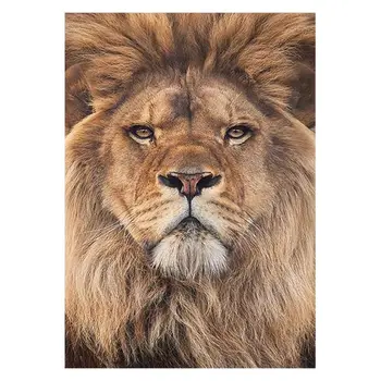 Lõvi DIY 5D Täis Puurida Diamond Maali Tikandid ristpistes Kit Rhinestone Home Decor Käsitöö