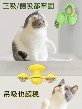 Kass kaarjas kahepoolne hõõrudes seade mänguasi kammimine kriimustada massaaž hõõrudes küünis kriimustada juhatuse pet mänguasi
