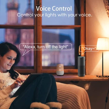 Hääljuhtimine 15W Kaks värvi Smart Lamp Juhitava E27 B22, WiFi, LED-Lamp, 220V AC 110V Tööd Alexa Google Kodu