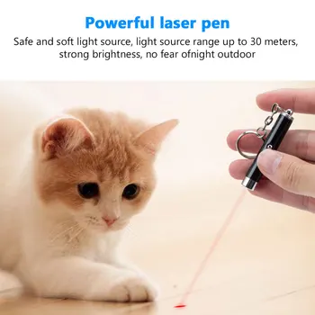 2-In-1 Kass Pet Mänguasi Punane Laser Pointer Kerge Pointer Pen Koos Valge LED Taskulamp Torch Interaktiivne Koolitus Kass Koer Jälitaja Mänguasi