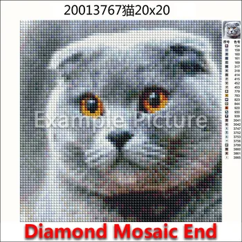 Uus Teemant maali Loomade Öökull Kana Dolphin Koera, Küülik Orav 5D DIY Täis Square Puurida tikandid Ring mosaiik Joonis 981