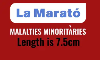2019 La Liga LA MARATO Match Üksikasjad MALALTIES MINORITARIES Võistluse Kuupäev RIBA-CA Plaaster