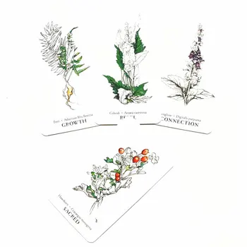 Hedgwitch Botaanika Oracle Kaardid Vaba aja veetmise pool Meelelahutus Male Mäng Tarot 40Card Ja Erinevad Stiilid Tarot Valik