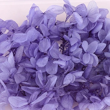 1 Karp Kuivatatud Lilled UV-Vaik Dekoratiivne Loomulik Lille Kleepsud 3D-Dry Ilu Decal Epoksü Hallituse DIY Täidise Tegemise Käsitöö