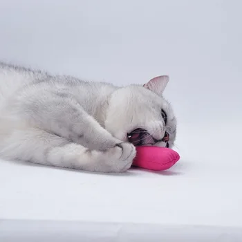 Kass Mint Toy Puudel Pet Pöidla Mänguasjad Hammaste Padi Naljakas Catnip Mänguasi Kass Lihvimine Interaktiivsete Lemmikloomade Küünised Hammustatud, Plüüš
