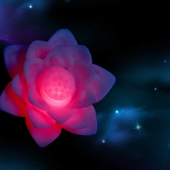 Romantiline Lotus Flower Öö Valguses Värviga Lotus Flower LED Night Light Romantiline Armastus Meeleolu Lamp Kodu Kaunistamiseks
