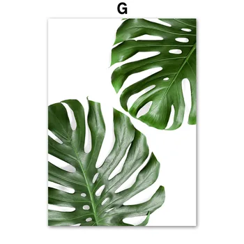 Roheline Taim Monstera Aloe Palm Leaf Seina Art Lõuend Maali Troopiline Põhjamaade Plakatid Ja Pildid Seina Pildid Elutuba