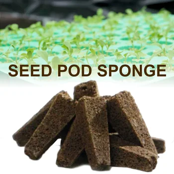 Seemne Pod Käsnad Seemne Starter Sponge Kaunad Asendused Juure Kasvu Sponge Pistikud Hüdropooniline Aed Seemne Alates