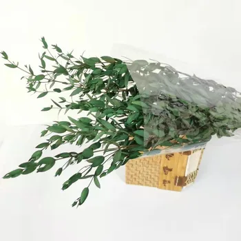 20G Loomulik Eukalüpti Lehed Kuivatatud Lill Reaalne Taim DIY Pulm Kodu Aia Kaunistamiseks Väljas Oksad, Varred
