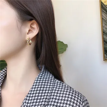Trendikas Crystal Hoop Kõrvarõngad Naine 2020. Aasta Uus Korea Kulla Värvi Ring Minimalistlik Suvel Kõrvarõngad Ehted Kingitused