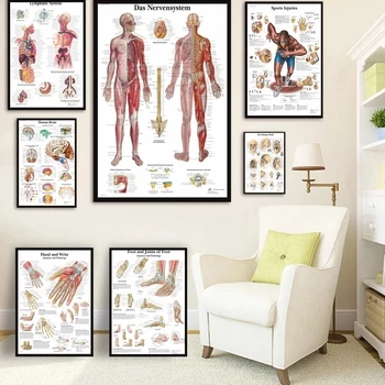 Inimese Anatoomia Lihaste Süsteem, Kunsti Lõuend Maali, Body Art Pilt ja Plakat Teenetemärgi Pere, Meditsiini, Hariduse, Frameless