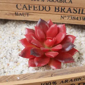 8PCS Kunstlik Mahlakad Taimed Unpotted Võltsitud Cactus Flokeeritud vaibad Varred Home Decor