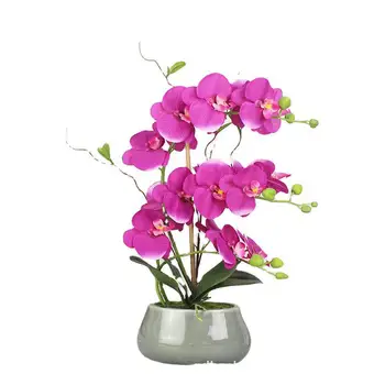 Kunstlik Phalaenopsis Vale Kapseldatud Lill, Taim Bonsai Silk Flower Elutuba Pere Pulm Teenetemärgi Kapseldatud Lill Orhidee