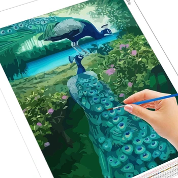 EverShine Värvimine Poolt Numbrid Loomadega, Lõuend Seina-Set Värvi Numbrid Täiskasvanutele Paabulinnud Joonistamise Kunsti Kingitus