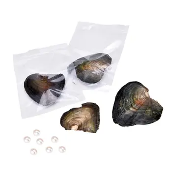 Shell Soovi Pearl Oyster vaakumpakendis 7-8mm Juhuslikult Värvi/Kujuga Looduslikud Tõelised Pärlid Austri Pärlitest Ehted Kingitused