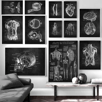 Inimese Anatoomia Kunsti, Meditsiini-Plakat Seina Art Pilt Skelett Elundkonna Lihaste Must ja Valge Print Asutus Haridus-Lõuendile Maali
