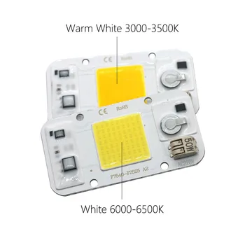 AC220V 50W Lamp Nr Keevitus Smart IC COB LED CHIP 50W Valge Soe Valge valgusdiood LED Maatriks DIY Valgustus Tähelepanu keskpunktis