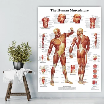 Inimese Keha Analüüsi Nõelravi Teadus Meditsiin Lõuendile Maali Poster ja Print Seina Art Pilt Elavad Kodus, Tuba Decor