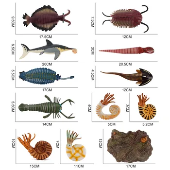 Eelajaloolised Loomad Ookeani Nautilus Opabinia Trilobita Eurypteroid Haridus Mudel Plastikust Joonis