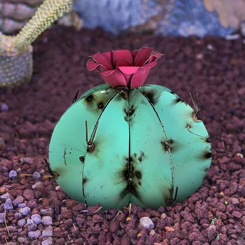 Loovus Cactus Aed Art Kujukeste Mehhiko Metallist Aed Õue Skulptuur Home Decor Aed Õue Teenetemärgi Miniatuuri